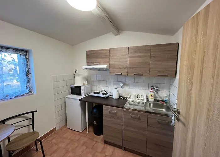 Apartment Ziznikov